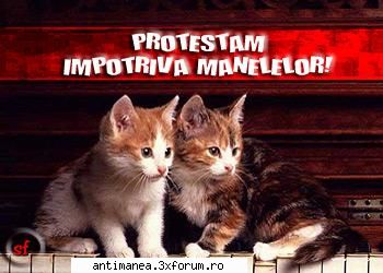 Muieeeeeeeeeee maneleeeeeeeeeeeeeeeeee eeeeee - sa s trezeasca ??? nuuuuu ink hiberneaza ei !! S - AntiManele